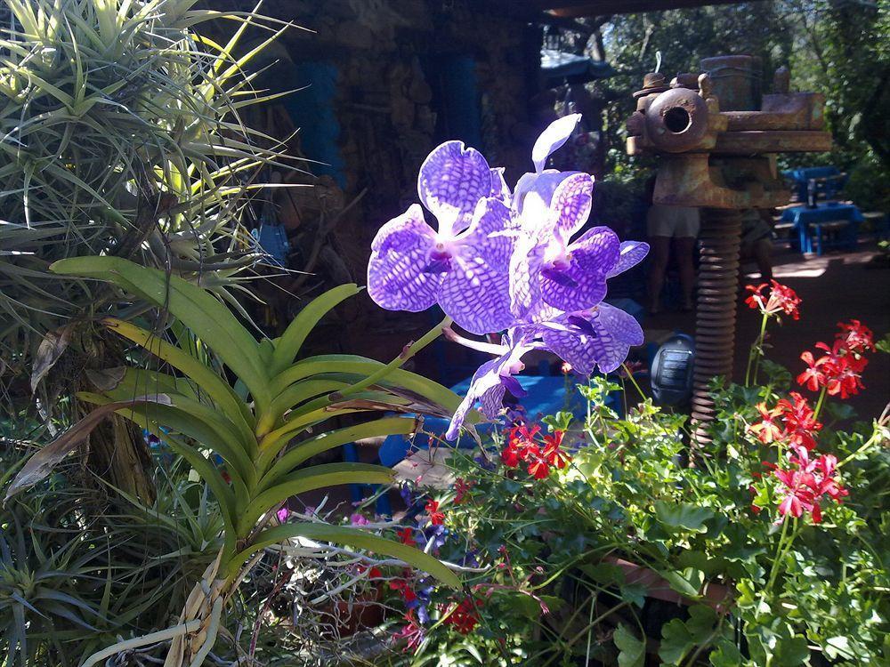 La Locanda Del Mare B&B La Caletta Bagian luar foto